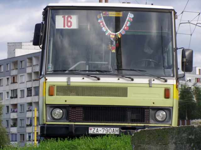 aut.94.JPG