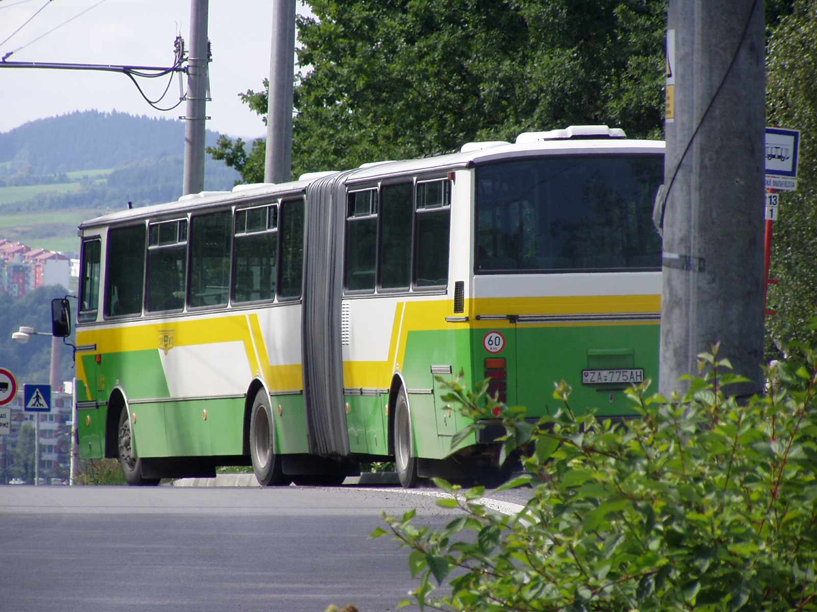 aut.113na L.13.JPG