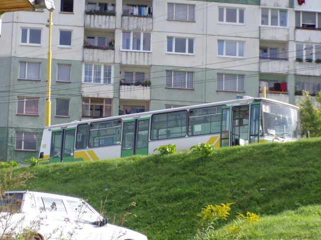 autob.98_.JPG