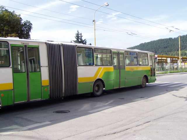autobus113. na L.13.JPG